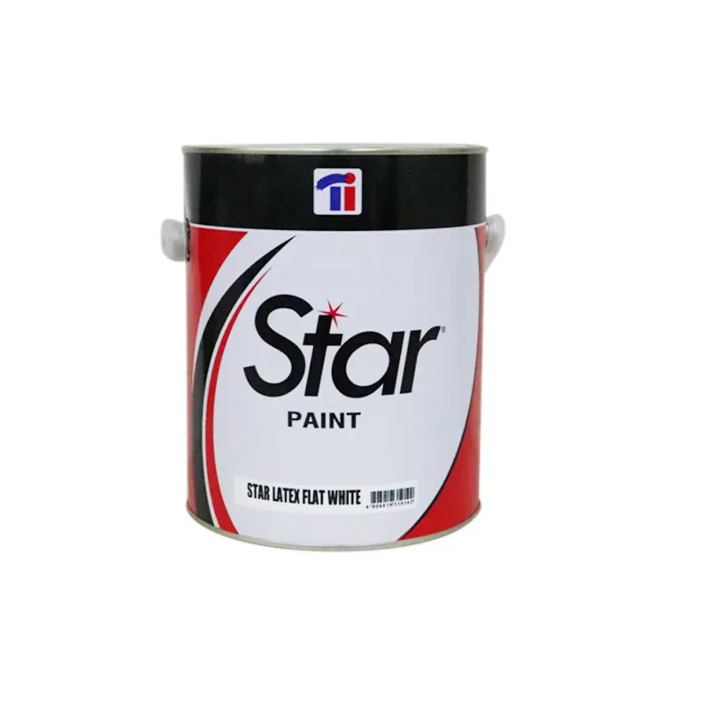 R-PAINT STAR GAL LATEX FLAT WHITE